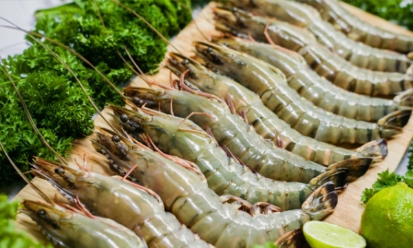 Black tiger shrimp export to the EU increased more than 2 times