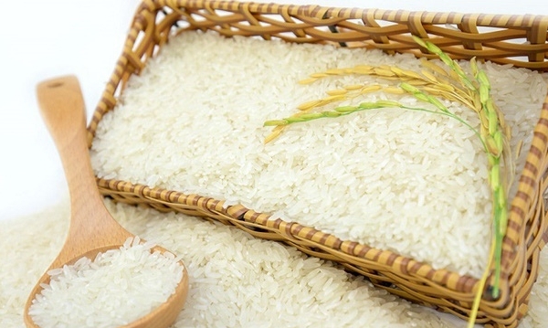 Rice export to the EU increased by nearly 4 times