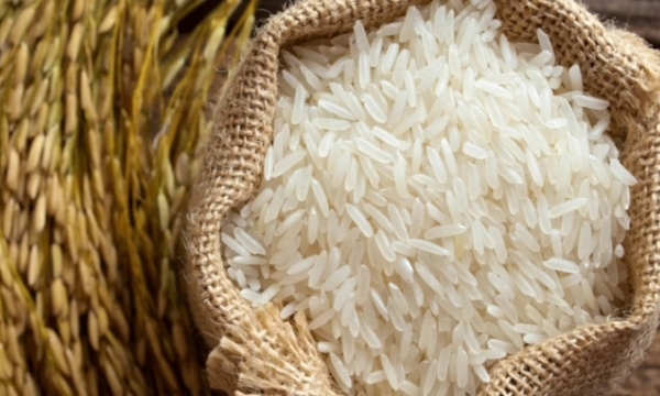 Malaysia will import 700 thousand tons of Vietnamese rice this year