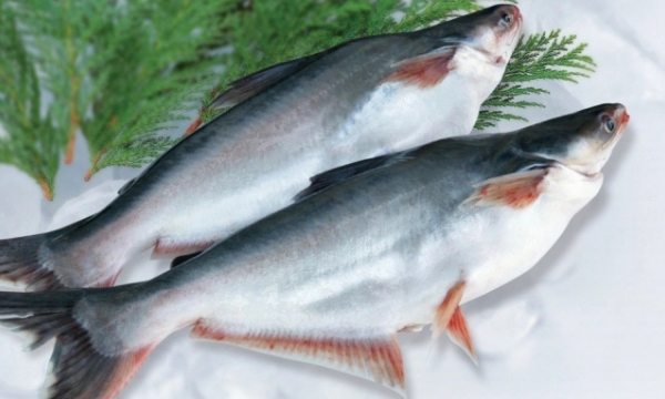 Shrimp and pangasius are in the US's top 10 most consumed seafood