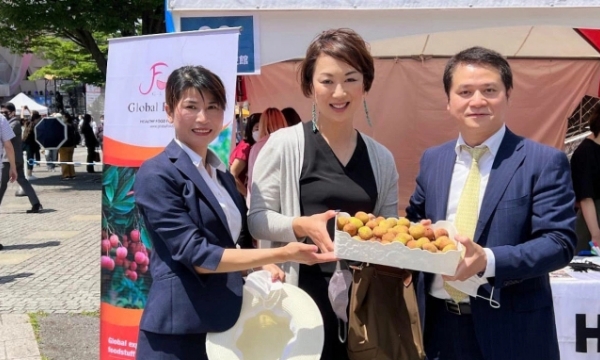 Introduction of Vietnamese lychee at the Vietnam Festival in Tokyo