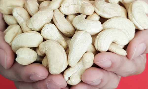 Reducing the export target of cashew kernels to $3.2 billion