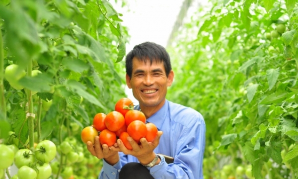 90% of Lam Dong’s vegetables and flowers are from other countries