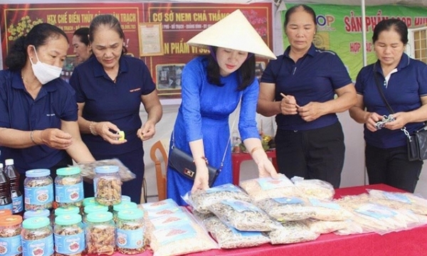 OCOP promotes agricultural development in Bo Trach