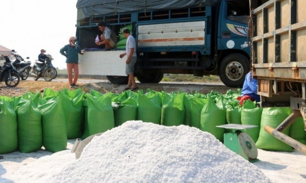 A push for Hon Khoi salt area