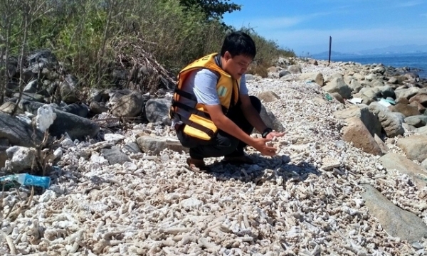 Khanh Hoa offers solutions to restore coral reefs in Nha Trang Bay