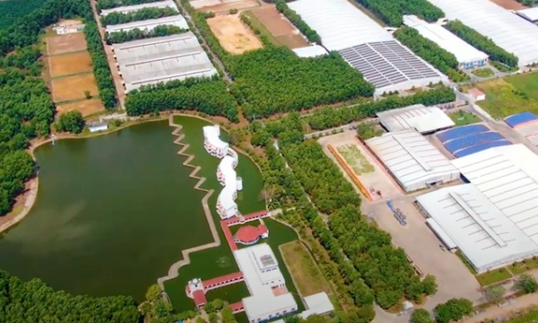 Tay Ninh attracting large businesses in the livestock industry