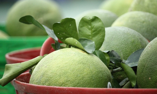 Increase Vietnam's green-skinned pomelos' competitiveness