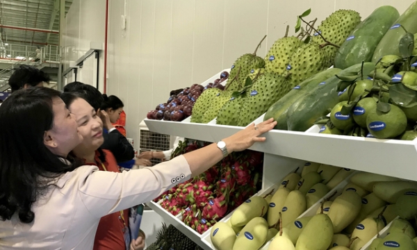 Fruit and vegetable exports rebounded strongly at the end of the year