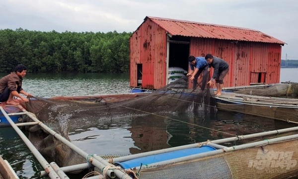 Combining aquaculture with tourism