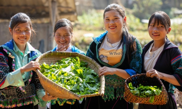 Vietnam receives international support in transforming food systems