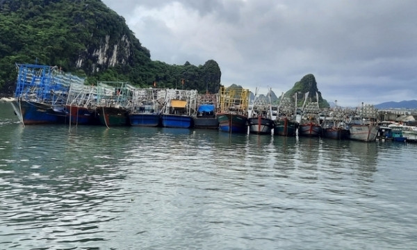 Not allowing fishing vessels violating IUU fishing to go to sea