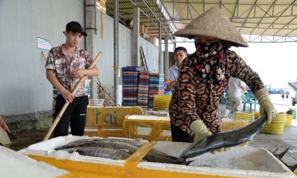 Nam Dinh increases marine aquaculture and reduces exploitation