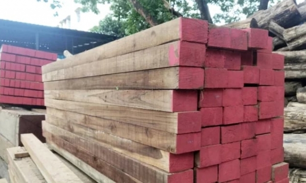 Laos and Cambodia's natural forest wood import and re-export ban