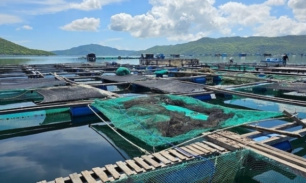 Strict handling of aquaculture not following planning