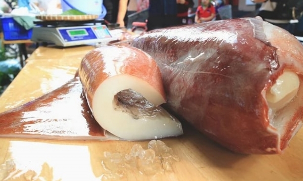 Vietnam has the first purpleback squid surimi process technology