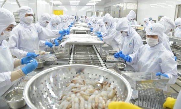 Seafood exports in the first 2 months increased by 22.3%