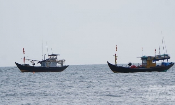 Recommend criminal penalties for fishing in foreign waters