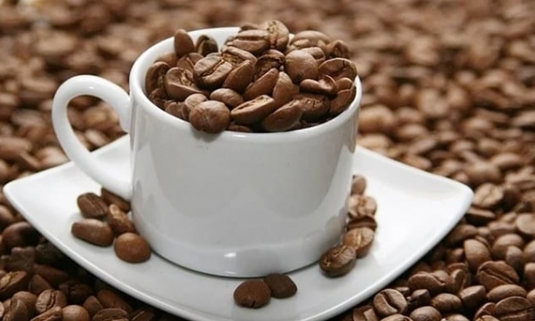 Coffee prices on 03/29/2024: The market price turned down sharply