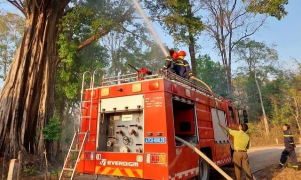 The Prime Minister strengthened measures to prevent forest fires