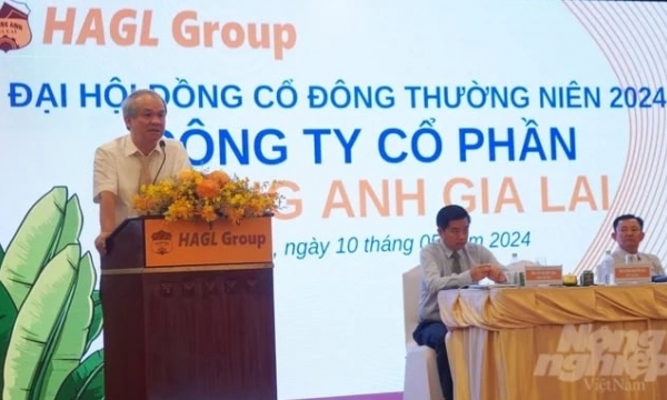 Hoang Anh Gia Lai will plant 2,000 ha of bananas in 2024