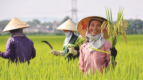 Vietnam responded to the UN’s call on food systems transformation