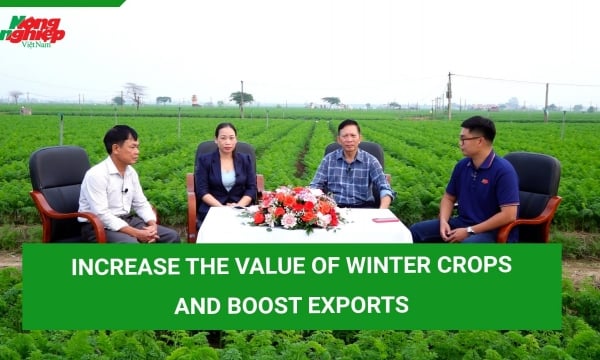 Increase the value of winter crops and boost exports