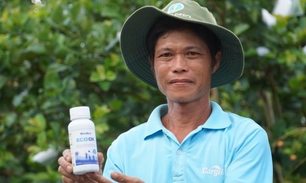 The outstanding power of nanotechnology products from rice husk - ECO OK