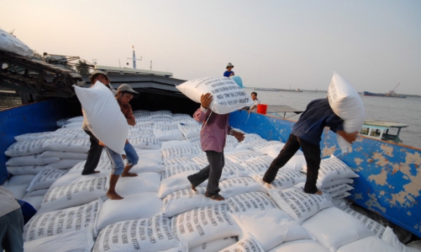 Bộ NN-PTNT kiến nghị tiếp tục cho phép xuất khẩu gạo nếp