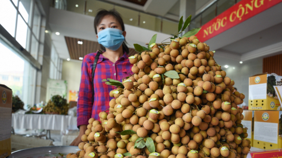 Many longan areas are qualified for exports to China, USA, Australia...