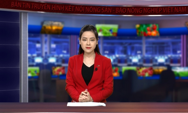 Nông sản Việt Nam chủ động thích ứng quy định mới của Trung Quốc