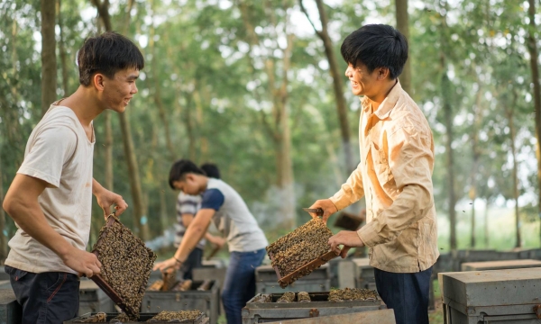 Mật ong Việt Nam bị Hoa Kỳ công bố áp thuế 412%