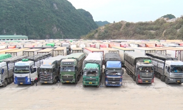 Xuất nhập khẩu qua tỉnh Lạng Sơn giảm trên 40%