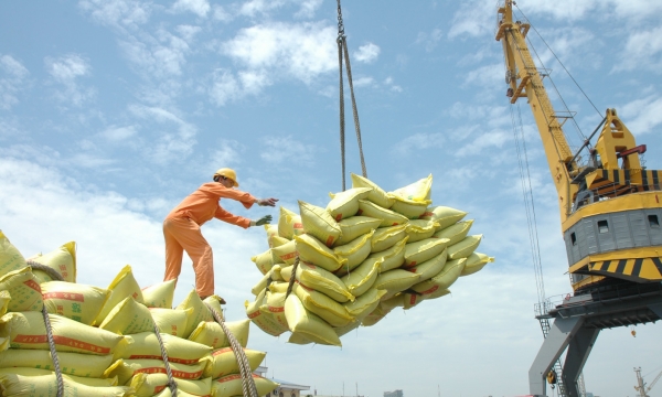 Xuất khẩu gạo tăng 45% tháng đầu năm 2022