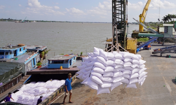 Rice exports take numerous opportunities from trade agreements