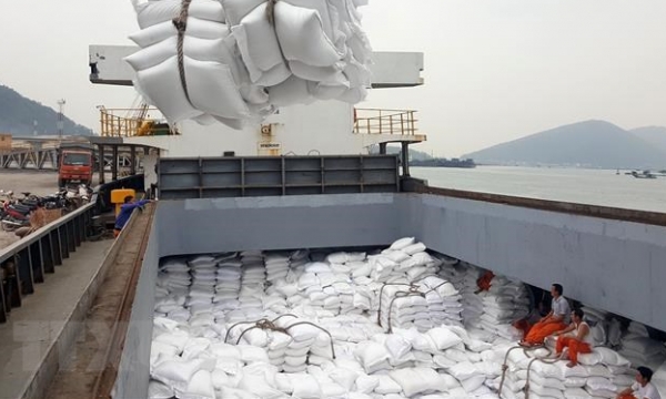 Giá gạo Việt Nam xuất khẩu thiết lập đỉnh giá mới 415 USD/tấn