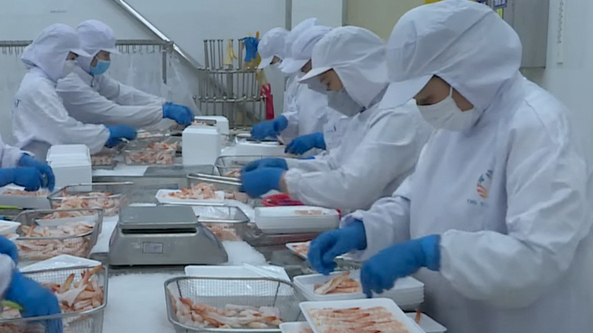It's time to build Vietnam seafood brand: experts
