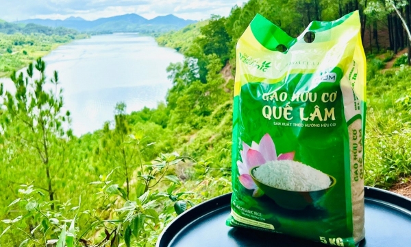 Gạo hữu cơ Quế Lâm trình diễn tại Festival Quốc tế lúa gạo Việt Nam 2023