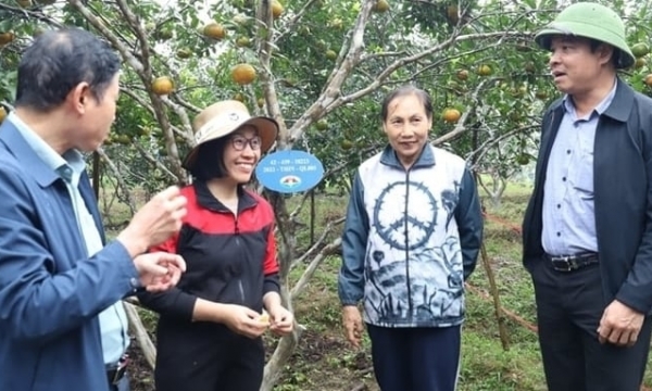 Phân bón Quế Lâm hỗ trợ bà con sản xuất cây trồng hữu cơ
