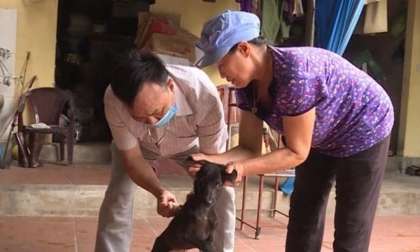 Lạng Sơn: Tỷ lệ tiêm vacxin phòng bệnh dại cho chó, mèo chưa tới 1%
