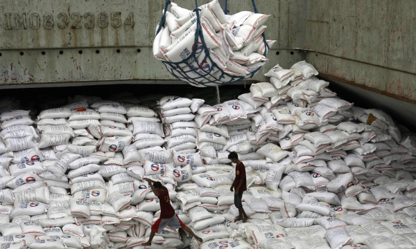Philippines sẽ là nước nhập khẩu gạo hàng đầu thế giới năm 2024