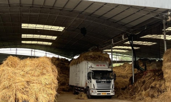 Trung Quốc biến 'phế phẩm nông nghiệp' thành nguồn thu ổn định