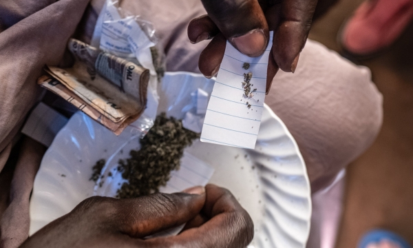 Sierra Leone ban bố tình trạng khẩn cấp vì 'ma túy từ xương người'