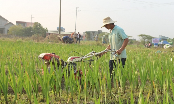 Hải Phòng xác định ba khâu đột phá để nâng cao đời sống nông dân