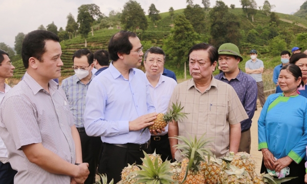Lào Cai xây dựng hệ sinh thái kinh tế nông thôn