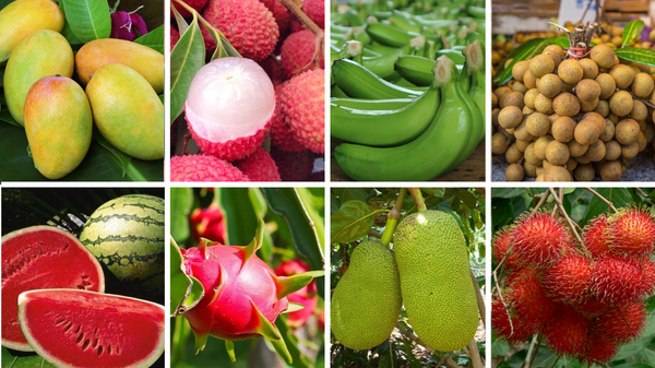 Hoàn thiện 8 Nghị định thư xuất khẩu trái cây sang Trung Quốc