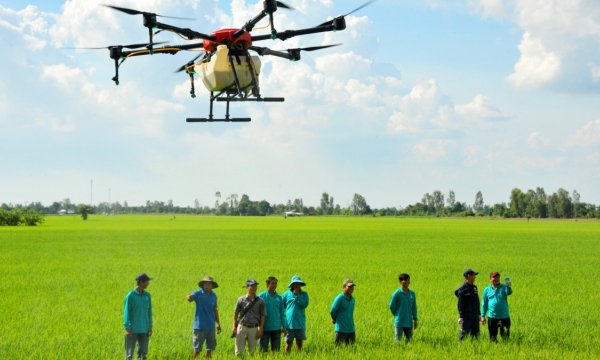 Khảo nghiệm thuốc bảo vệ thực vật bằng UAV/Drone sẽ có tiêu chuẩn riêng