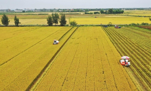 Việt Nam mong muốn trở thành cầu nối thương mại nông sản thế giới