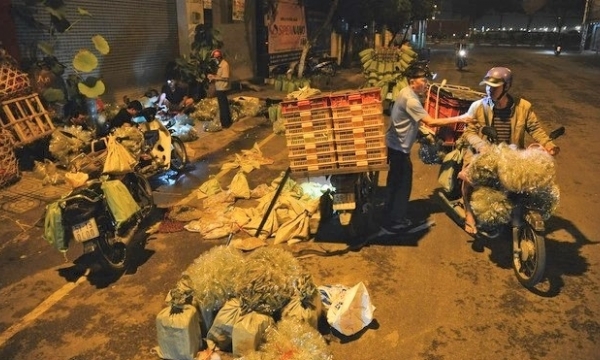 Chợ đêm hơn 20 năm chuyên bán côn trùng ở Sài Gòn