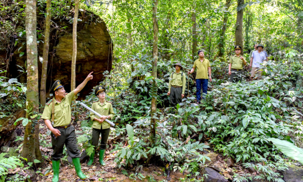 Đặt mục tiêu 1 triệu ha được cấp chứng chỉ quản lý rừng bền vững